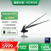 618荣耀护眼笔记本推荐 荣耀MagicBook Art 14（Ultra5 125H 32gb 1T）国补价格5999.2元