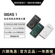 飞GIGAS 1台式耳放开售：平衡输出4600mW推力强劲价格299元
