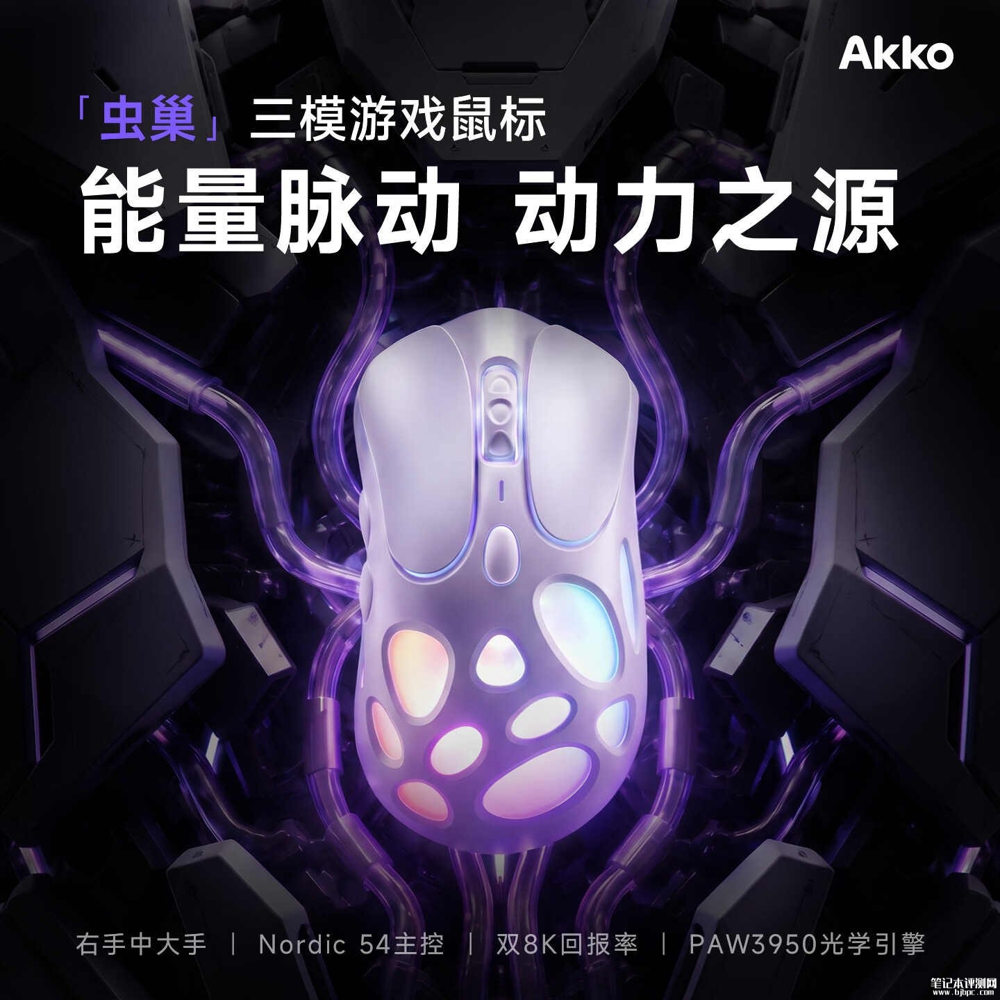 Akko虫巢三模游戏鼠标开售：支持双8KHz回报率三档LOD调节价格229元，笔记本评测网（bjbpc.com）